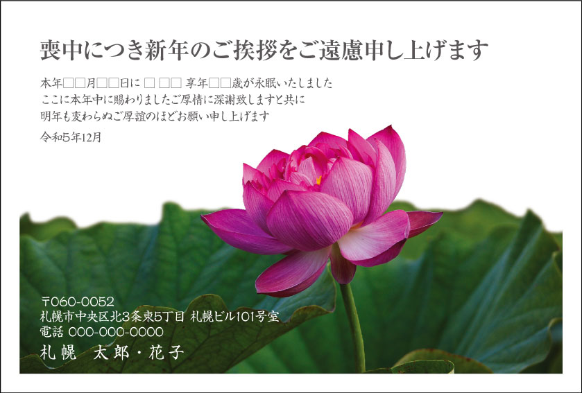 凛と咲く蓮の花の写真、北海道産