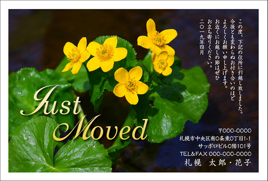 デザインが施された引越しはがきです。可愛い黄色いお花。なんか幸せ感あります